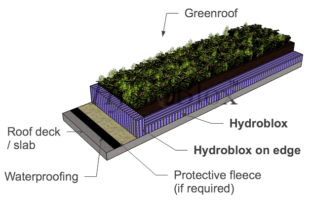 extensive green roofWM